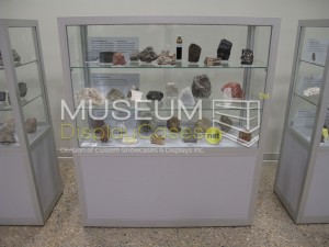 Counter Display Showcase ONE OF OUR NEW MUSEUM DISPLAY CASES!