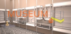 Museum Display Case